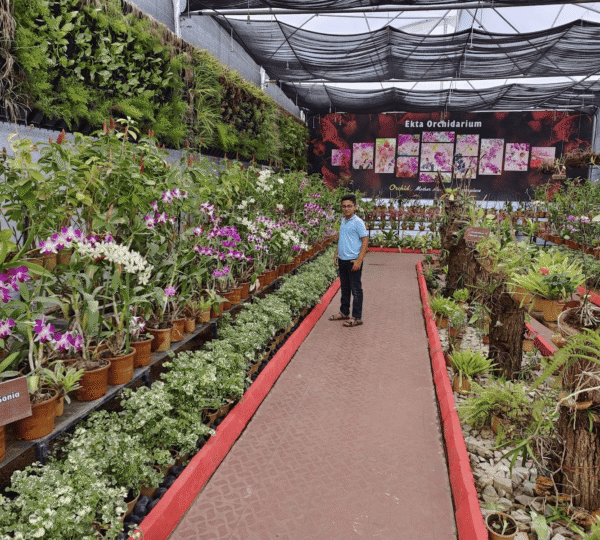 ekta nursery