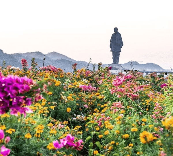 Valley of flowers
